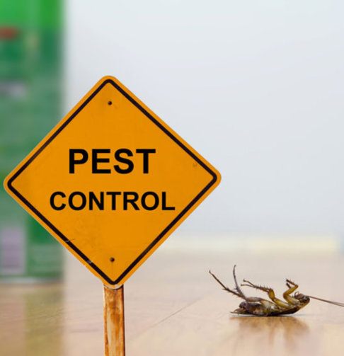 About Shabara Pest Control Services